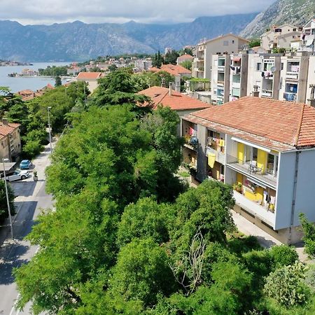 Viola Lux Apartments 科托尔 外观 照片