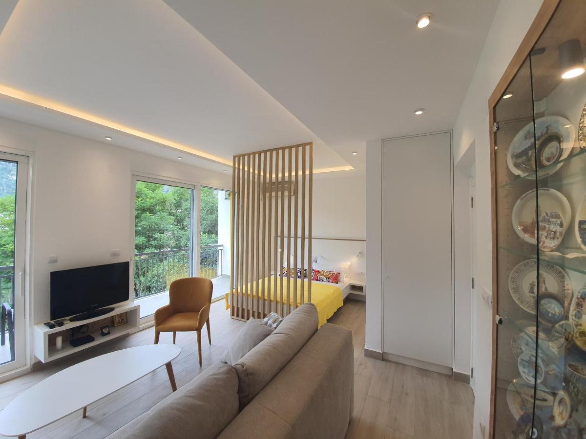 Viola Lux Apartments 科托尔 外观 照片