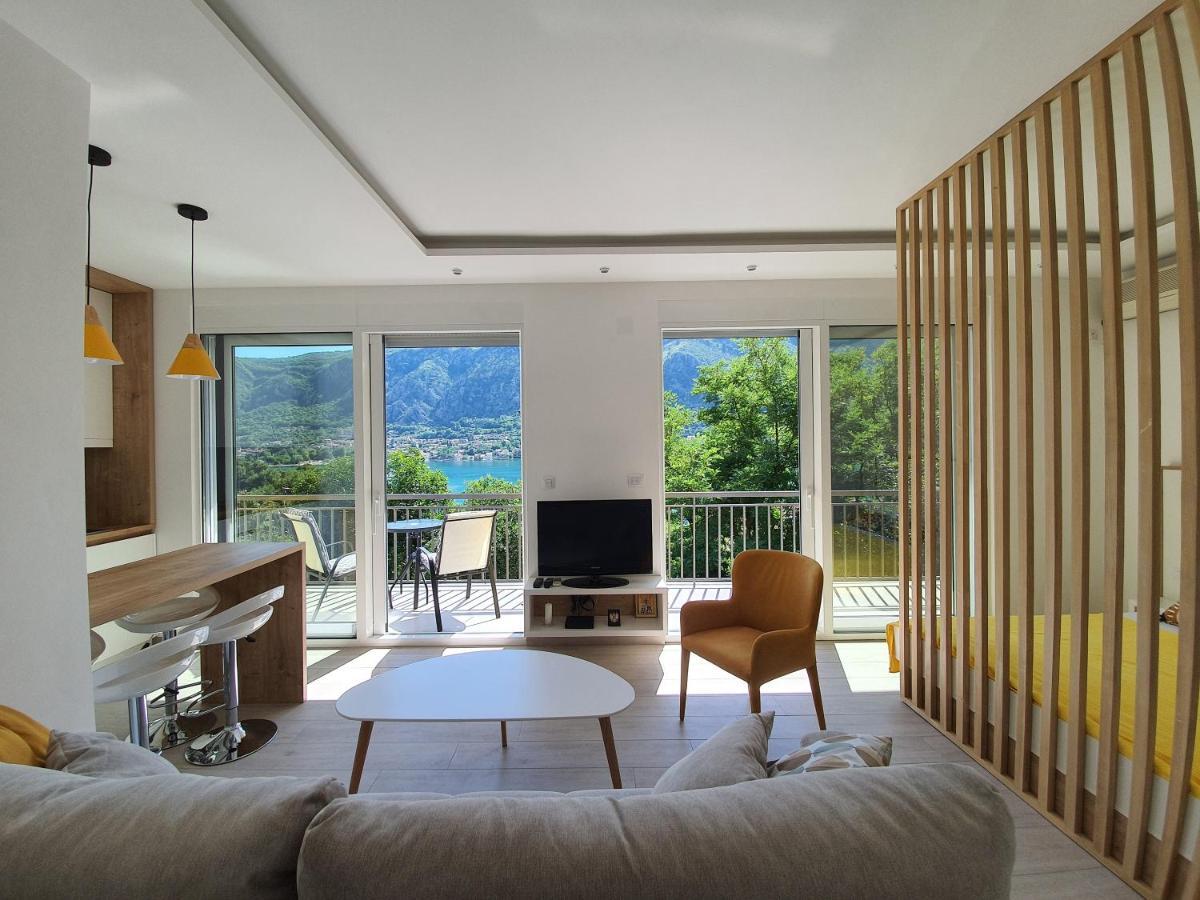 Viola Lux Apartments 科托尔 外观 照片