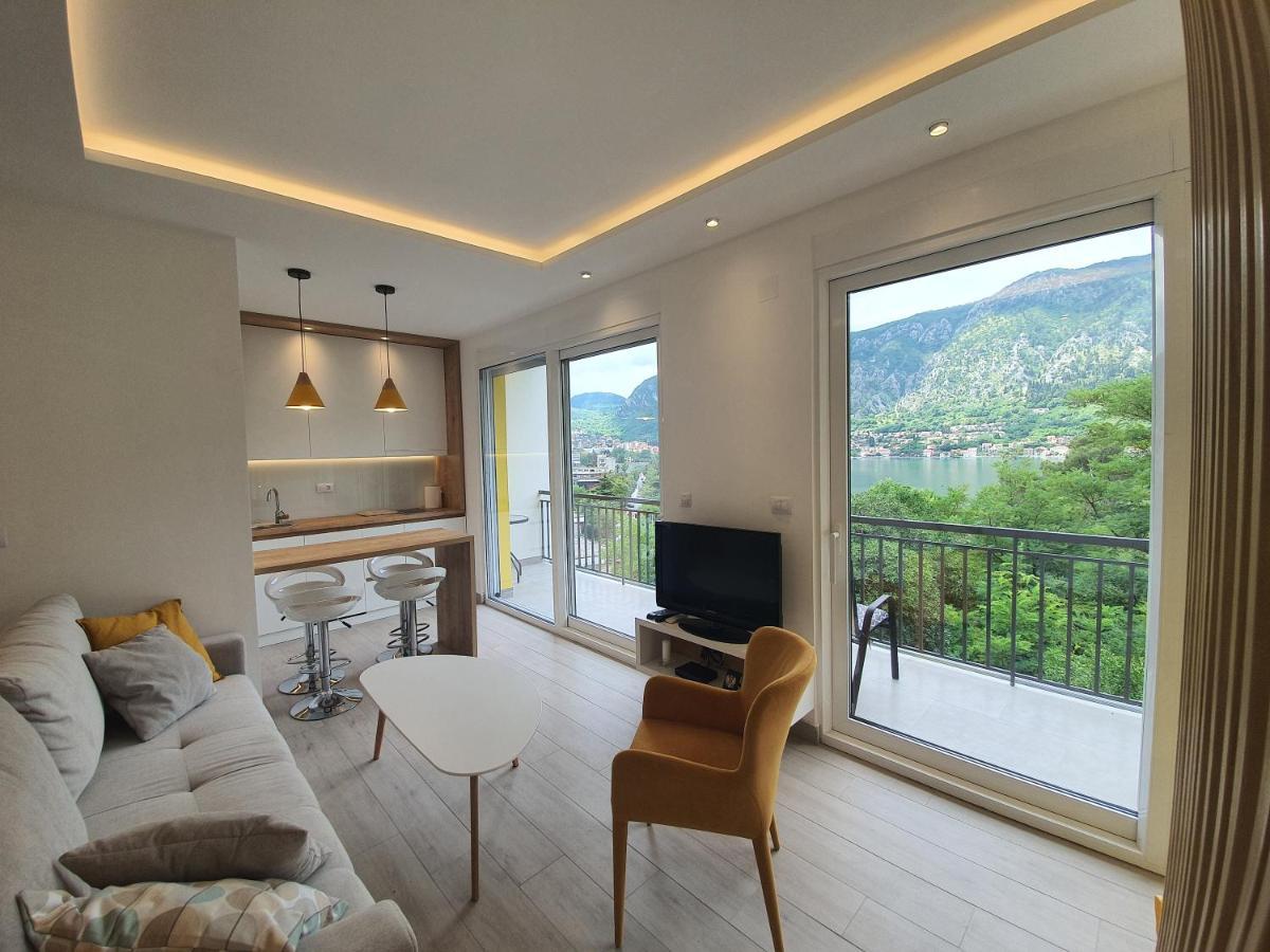 Viola Lux Apartments 科托尔 外观 照片