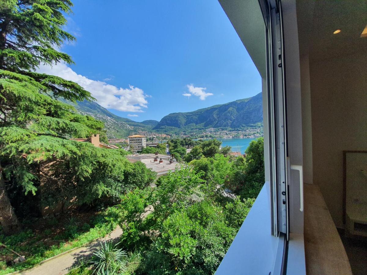 Viola Lux Apartments 科托尔 外观 照片