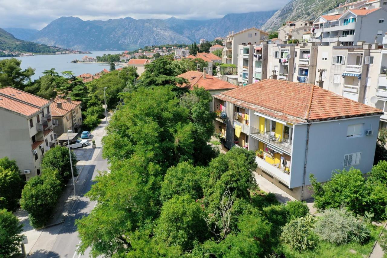 Viola Lux Apartments 科托尔 外观 照片